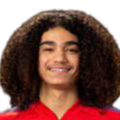 https://img.whglyq123.com/img/football/player/87359ed9061cfd73513d827263deebcd.png